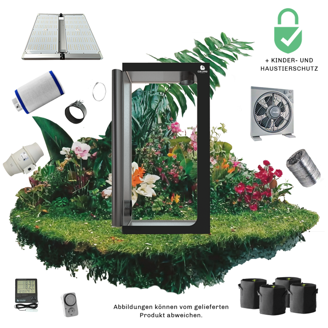 Caluma Set - 3 Plants Plus (100 x 100 cm, 320 W) Info